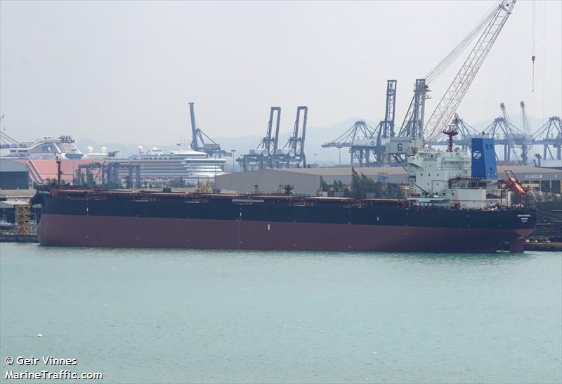 MV INDIAN GOODWILL
