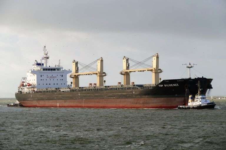 MV TOP DILIGENCE