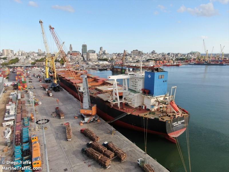 MV CAPE PELICAN
