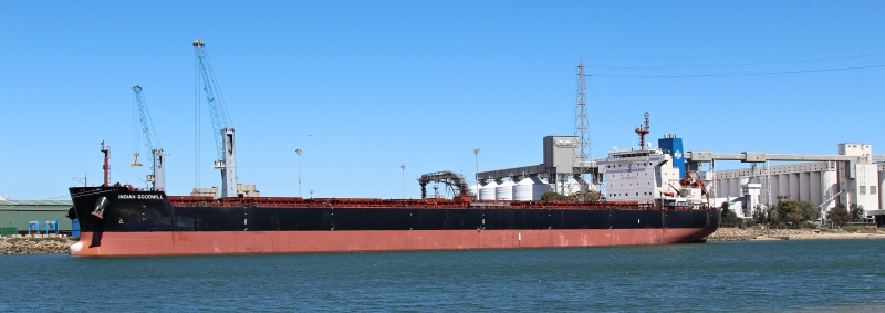 MV INDIAN GOODWILL