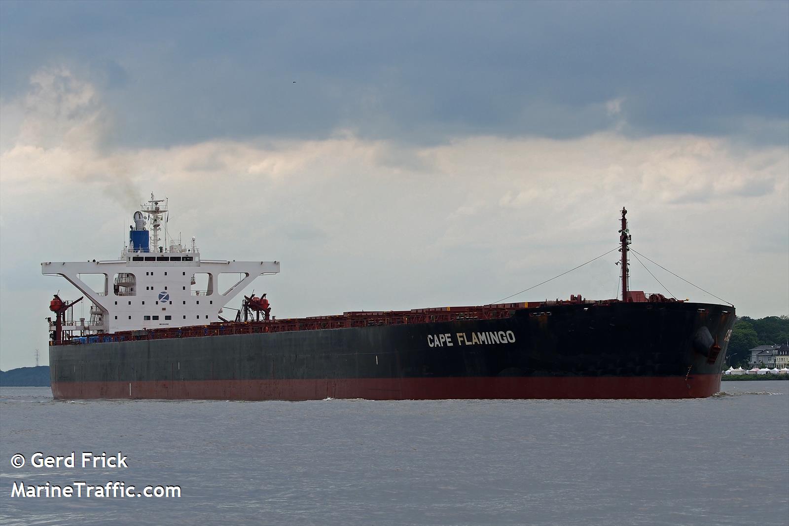 MV CAPE FLAMIGO