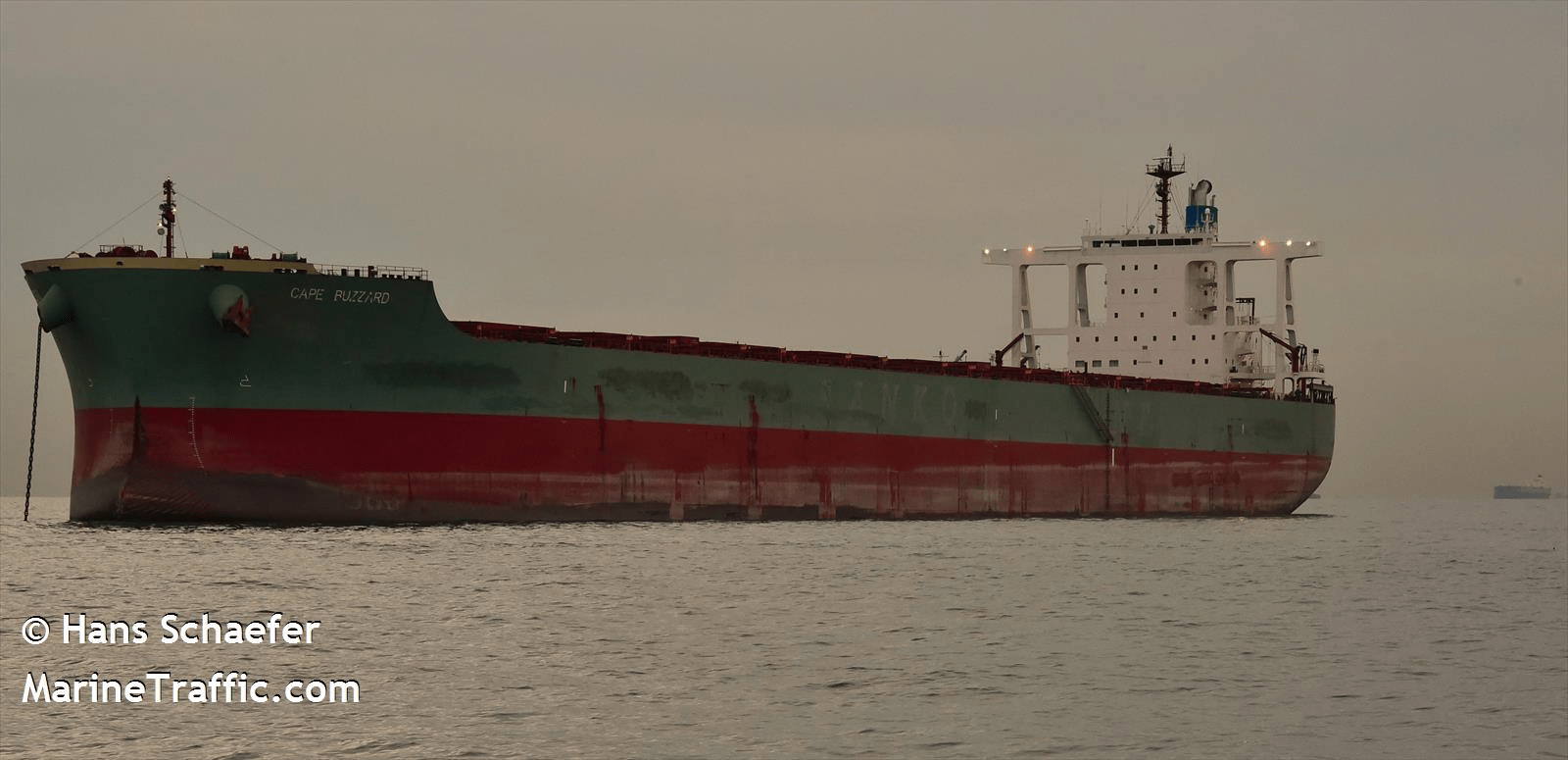 MV CAPE BUZZARD